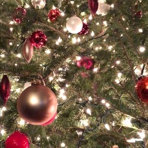 Meet your Posher, Jen